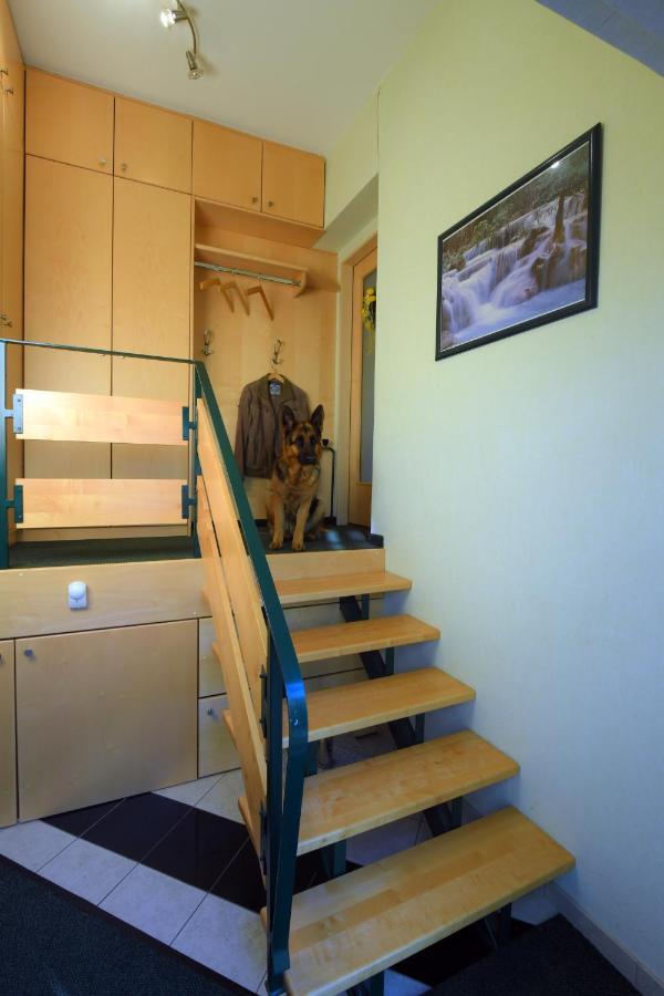 Ferienappartement Regina Schrems  Ngoại thất bức ảnh